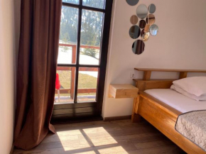 Hotels in Padiş